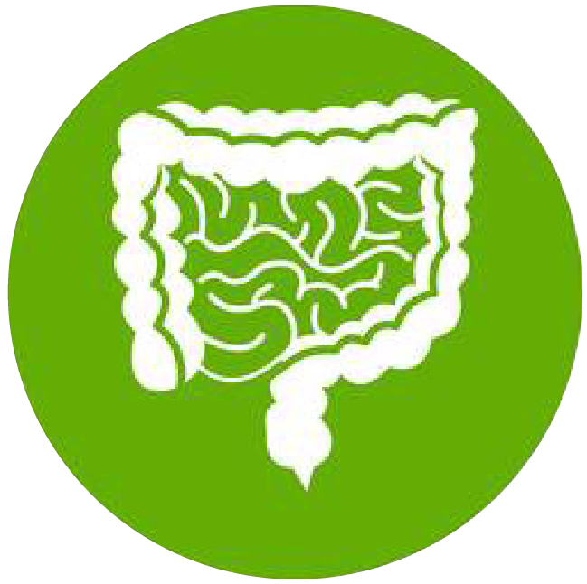 關(guān)注職場“腸”態(tài)，守護(hù)員工健康——上海格瑞特特邀消化內(nèi)科專家公益系列講座（4）(圖1)