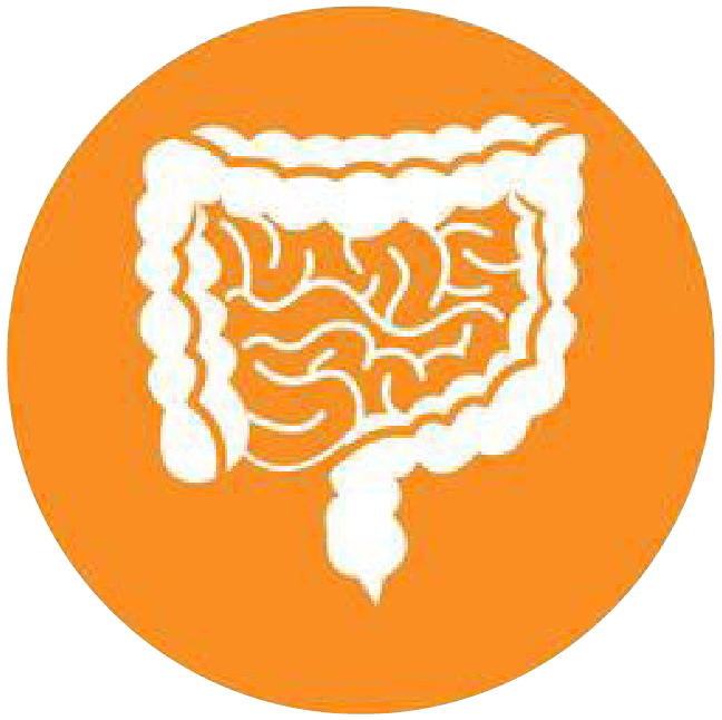 關(guān)注職場“腸”態(tài)，守護(hù)員工健康——上海格瑞特特邀消化內(nèi)科專家公益系列講座（4）(圖4)