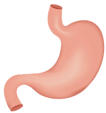 關(guān)注職場“腸”態(tài)，守護(hù)員工健康——上海格瑞特特邀消化內(nèi)科專家公益系列講座（4）(圖9)