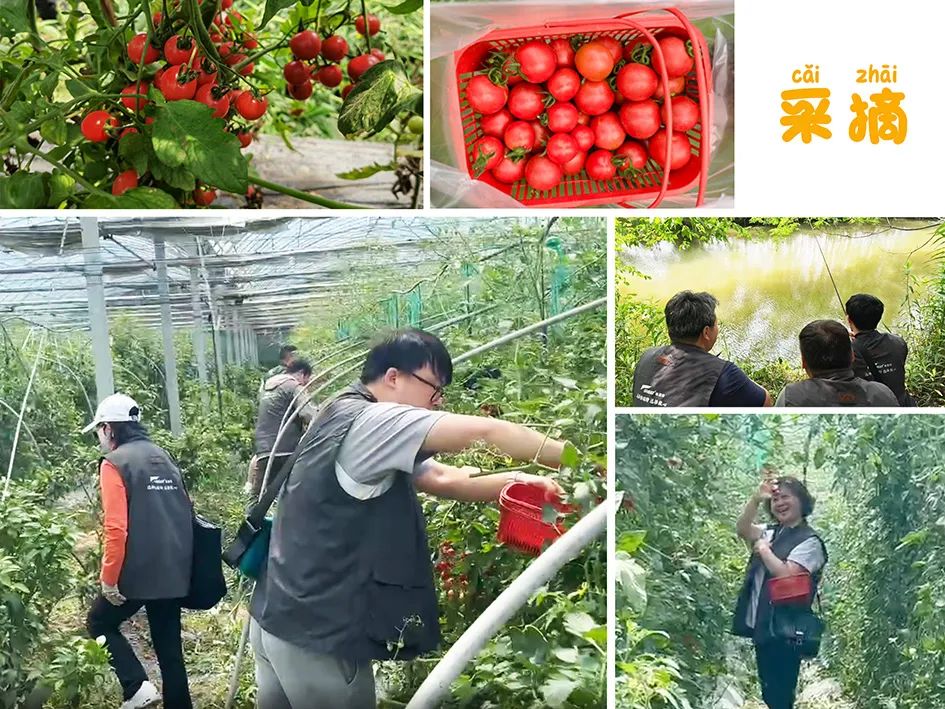 上海格瑞特夏日團(tuán)建活動(dòng)圓滿舉行(圖4)